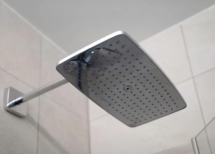 Wolf's Schwarzwald *